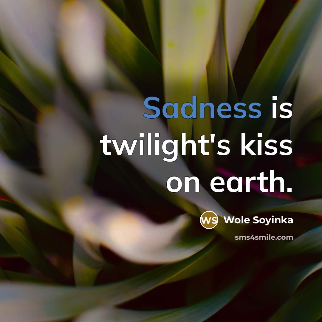 “Sadness is twilight's kiss on earth.” quote by Wole Soyinka
