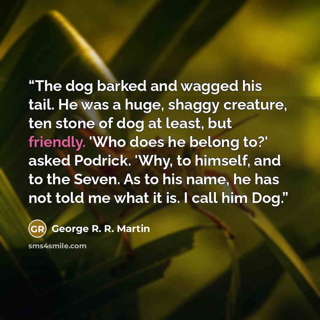 “The dog barked and wagged his tail. He was a huge, shaggy creature, ten stone of dog at least, but friendly. 'Who does he belong to?' asked Podrick. 'Why, to himself, and to the Seven. As to his name, he has not told me what it is. I call him Dog.” quote by GEORGE R. R. MARTIN