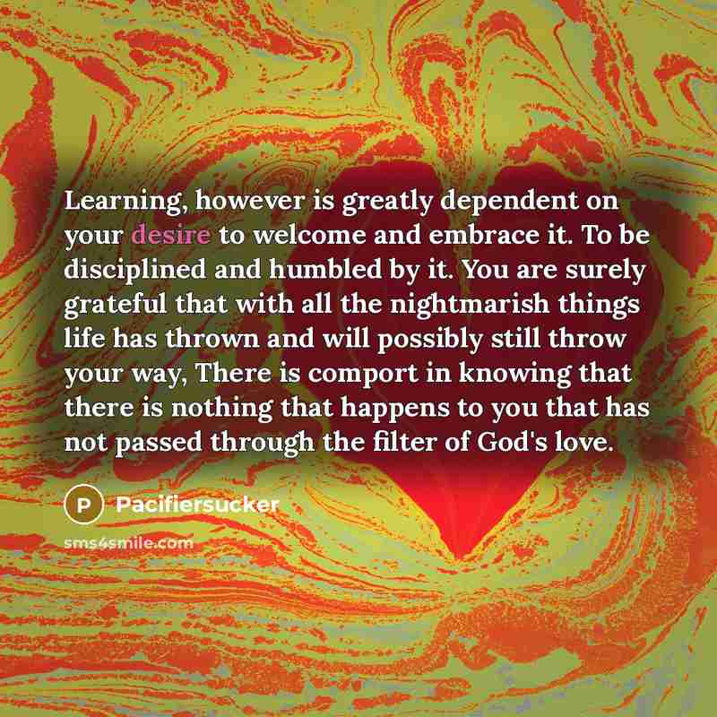 “Learning, however is greatly dependent on your desire to welcome and embrace it. To be disciplined and humbled by it. You are surely grateful that with all the nightmarish things life has thrown and will possibly still throw your way, There is comport in knowing that there is nothing that happens…” quote by Pacifiersucker