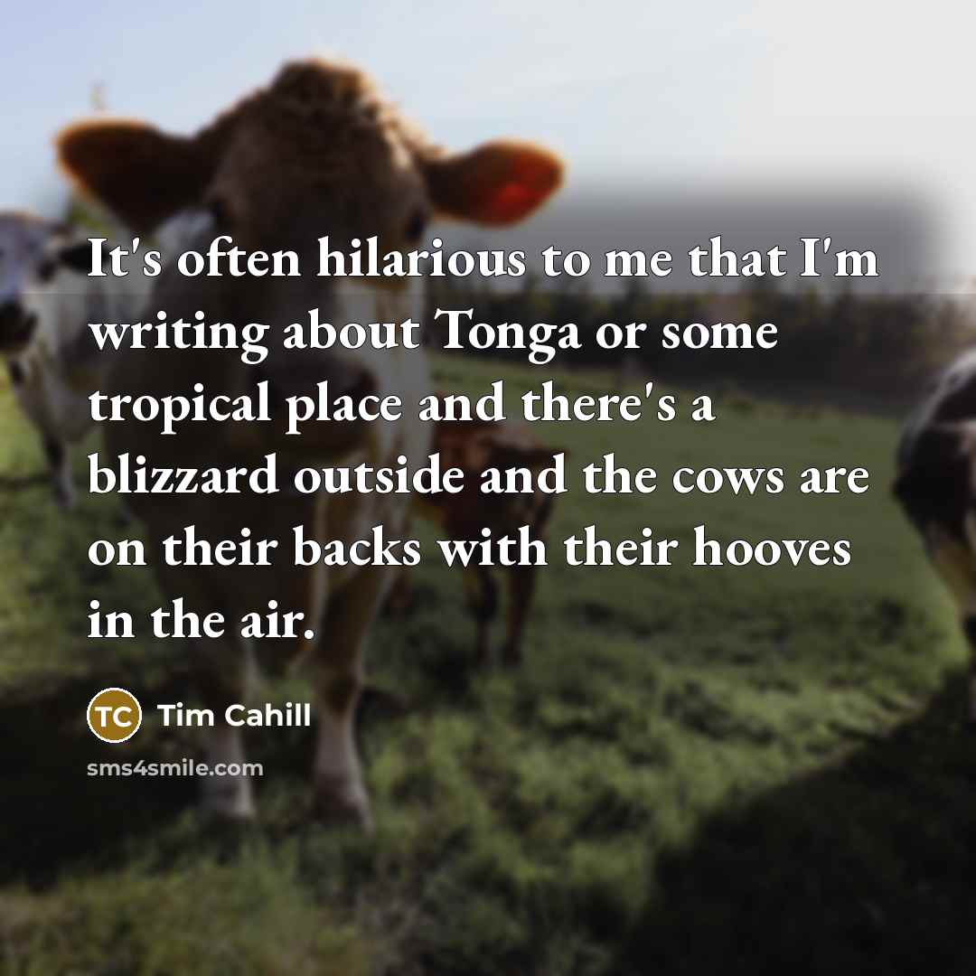 “It's often hilarious to me that I'm writing about Tonga or some tropical place and there's a blizzard outside and the cows are on their backs with their hooves in the air.” quote by Tim Cahill