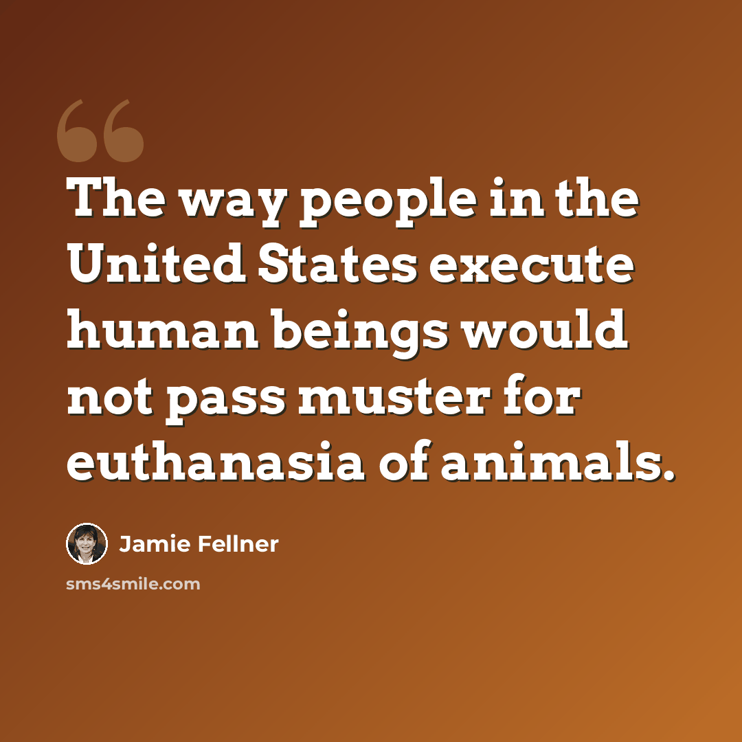 “The way people in the United States execute human beings would not pass muster for euthanasia of animals.” quote by Jamie Fellner