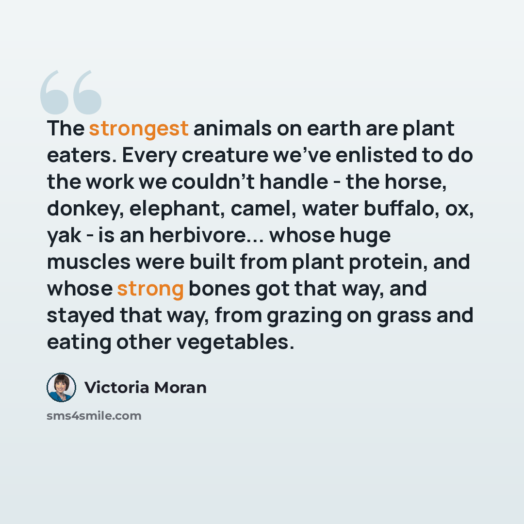 “The strongest animals on earth are plant eaters. Every creature we've enlisted to do the work we couldn't handle - the horse, donkey, elephant, camel, water buffalo, ox, yak - is an herbivore... whose huge muscles were built from plant protein, and whose strong bones got that way, and stayed that…” quote by Victoria Moran