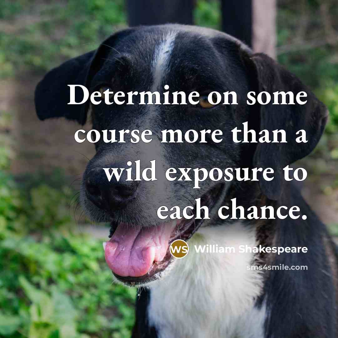 “Determine on some course more than a wild exposure to each chance.” quote by William Shakespeare