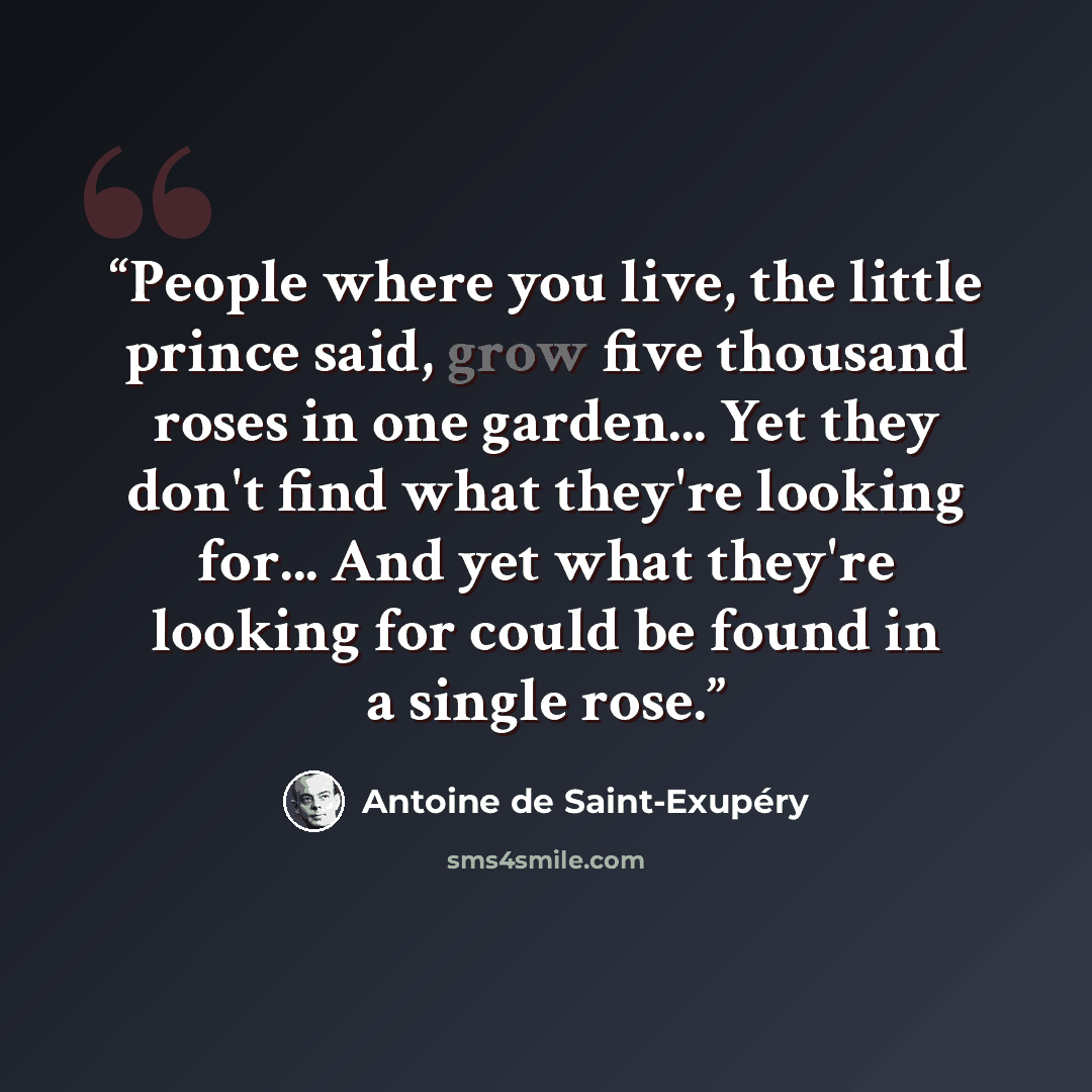 “People where you live, the little prince said, grow five thousand roses in one garden... Yet they don't find what they're looking for... And yet what they're looking for could be found in a single rose.” quote by Antoine de Saint-Exupéry