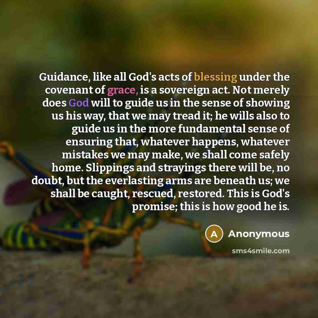 “Guidance, like all God's acts of blessing under the covenant of grace, is a sovereign act. Not merely does God will to guide us in the sense of showing us his way, that we may tread it; he wills also to guide us in the more fundamental sense of ensuring that, whatever happens, whatever mistakes we…” quote by Anonymous