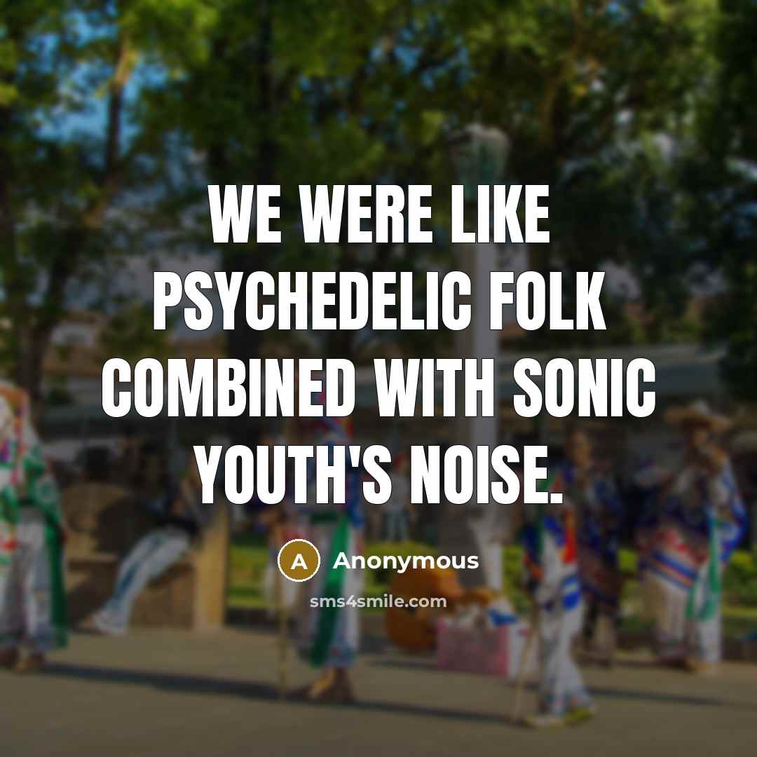 “We were like psychedelic folk combined with Sonic Youth's noise.” quote by Anonymous