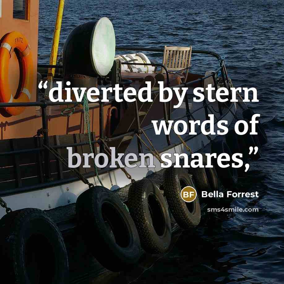 “diverted by stern words of broken snares,” quote by Bella Forrest