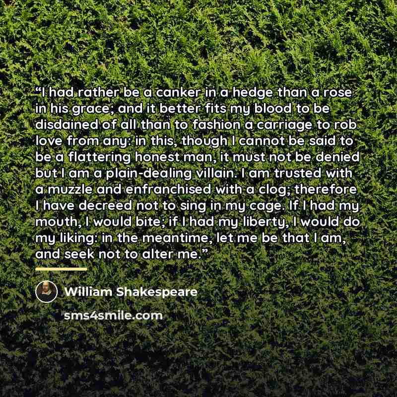 “I had rather be a canker in a hedge than a rose in his grace; and it better fits my blood to be disdained of all than to fashion a carriage to rob love from any: in this, though I cannot be said to be a flattering honest man, it must not be denied but I am a plain-dealing villain. I am trusted…” quote by William Shakespeare