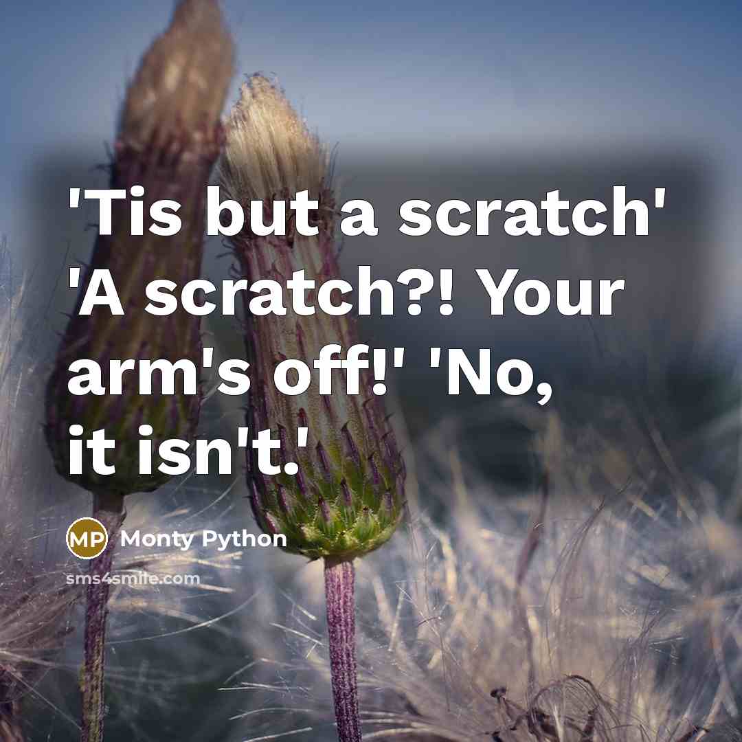 “'Tis but a scratch' 'A scratch?! Your arm's off!' 'No, it isn't.'” quote by Monty Python