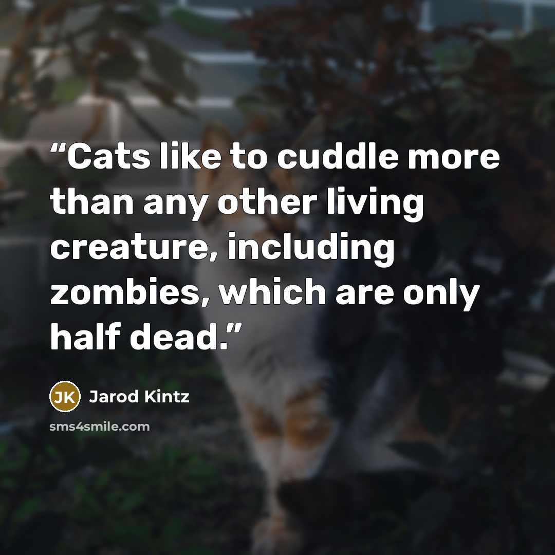 “Cats like to cuddle more than any other living creature, including zombies, which are only half dead.” quote by Jarod Kintz
