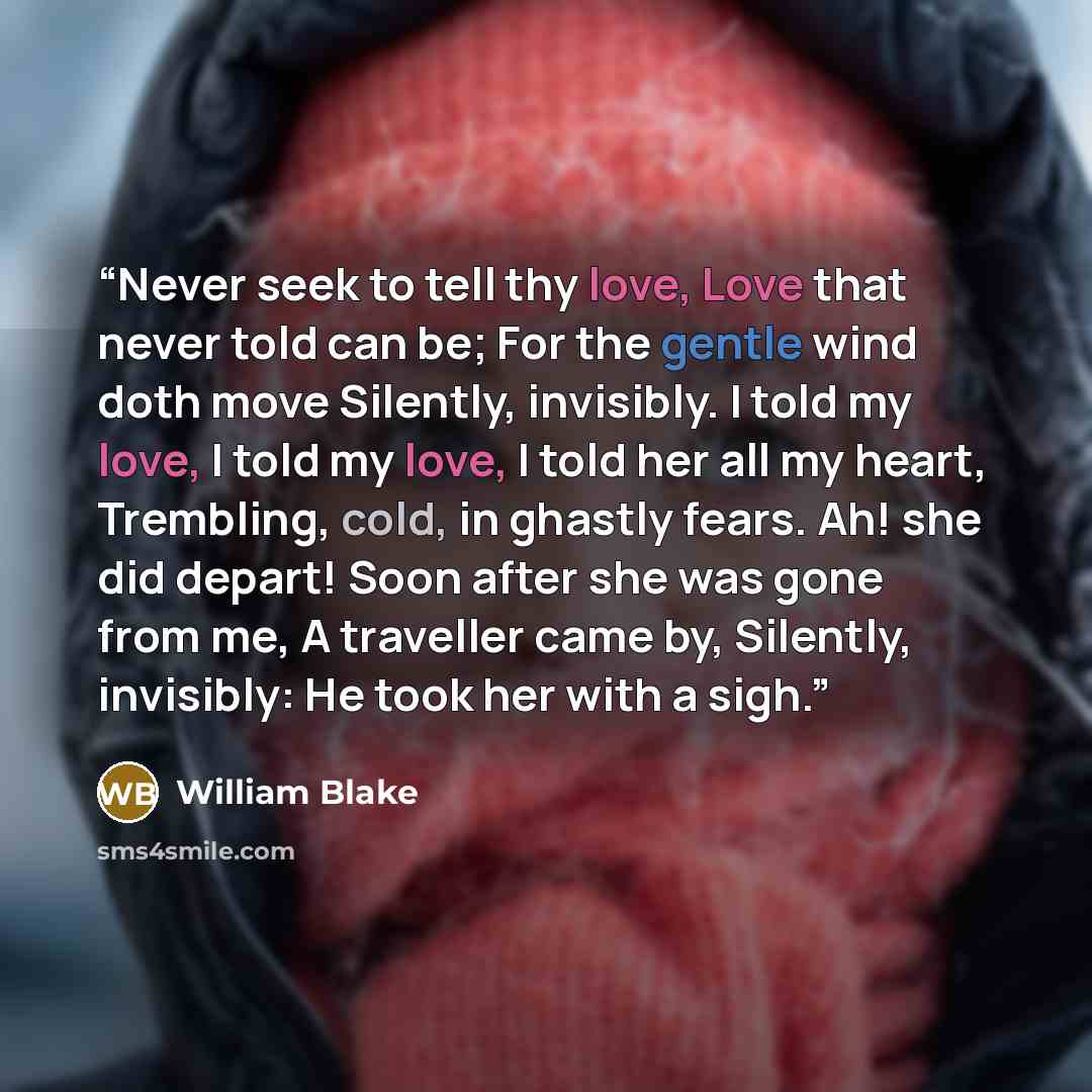 “Never seek to tell thy love, Love that never told can be; For the gentle wind doth move Silently, invisibly. I told my love, I told my love, I told her all my heart, Trembling, cold, in ghastly fears. Ah! she did depart! Soon after she was gone from me, A traveller came by, Silently, invisibly: He…” quote by William Blake