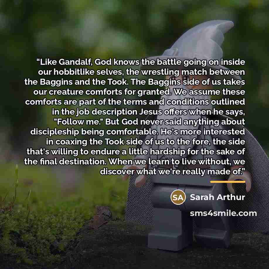 “Like Gandalf, God knows the battle going on inside our hobbitlike selves, the wrestling match between the Baggins and the Took. The Baggins side of us takes our creature comforts for granted. We assume these comforts are part of the terms and conditions outlined in the job description Jesus offers…” quote by Sarah Arthur