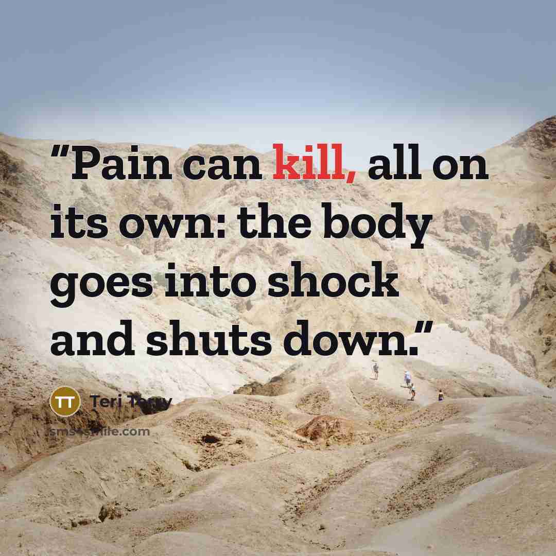 “Pain can kill, all on its own: the body goes into shock and shuts down.” quote by Teri Terry