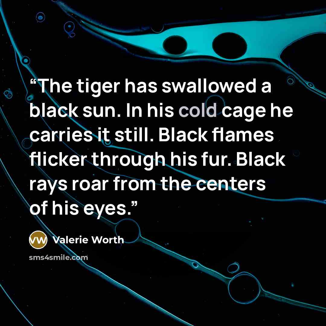 “The tiger has swallowed a black sun. In his cold cage he carries it still. Black flames flicker through his fur. Black rays roar from the centers of his eyes.” quote by Valerie Worth