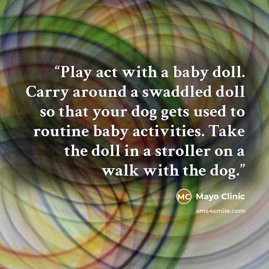 “Play act with a baby doll. Carry around a swaddled doll so that your dog gets used to routine baby activities. Take the doll in a stroller on a walk with the dog.” quote by Mayo Clinic