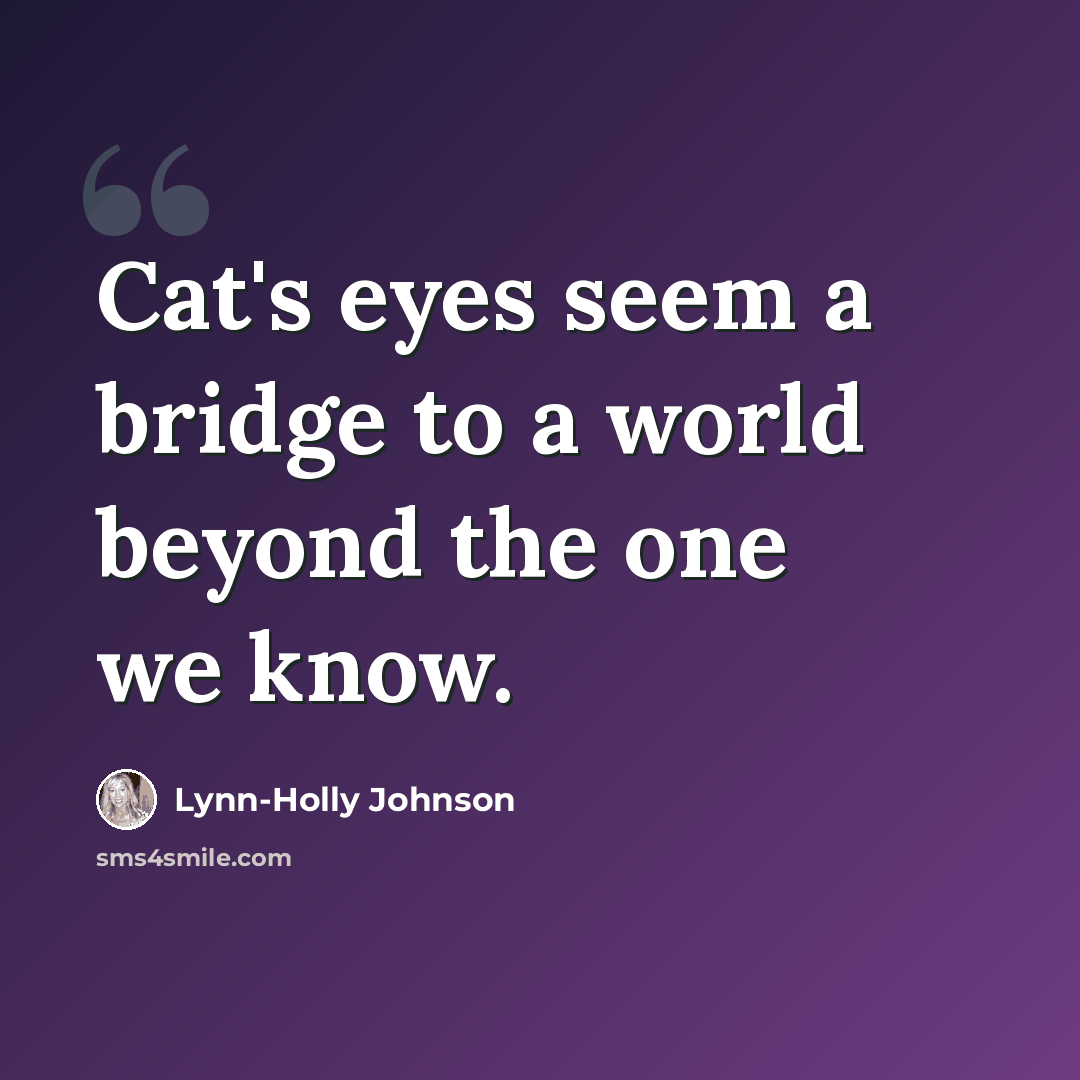 “Cat's eyes seem a bridge to a world beyond the one we know.” quote by Lynn-Holly Johnson