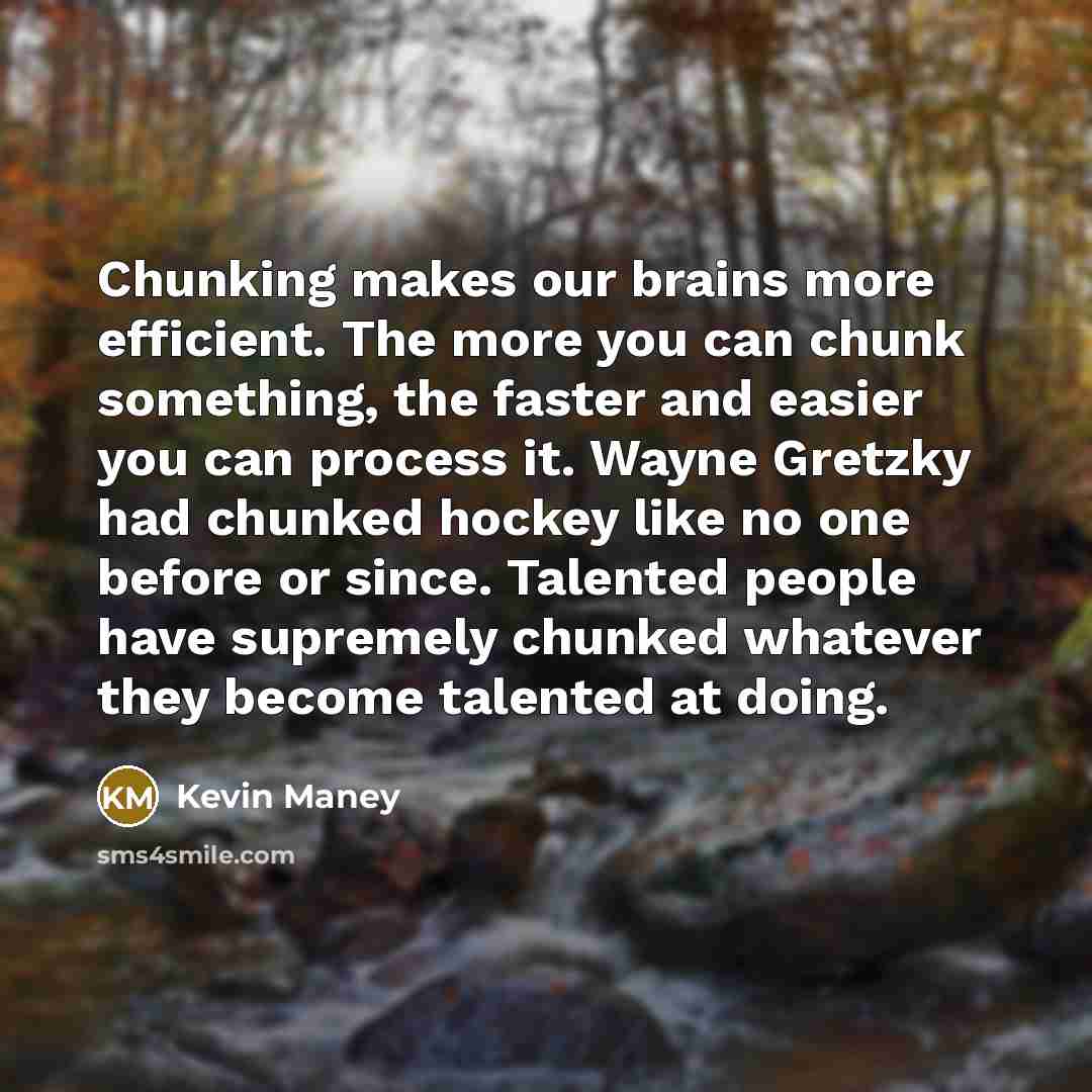 “Chunking makes our brains more efficient. The more you can chunk something, the faster and easier you can process it. Wayne Gretzky had chunked hockey like no one before or since. Talented people have supremely chunked whatever they become talented at doing.” quote by Kevin Maney