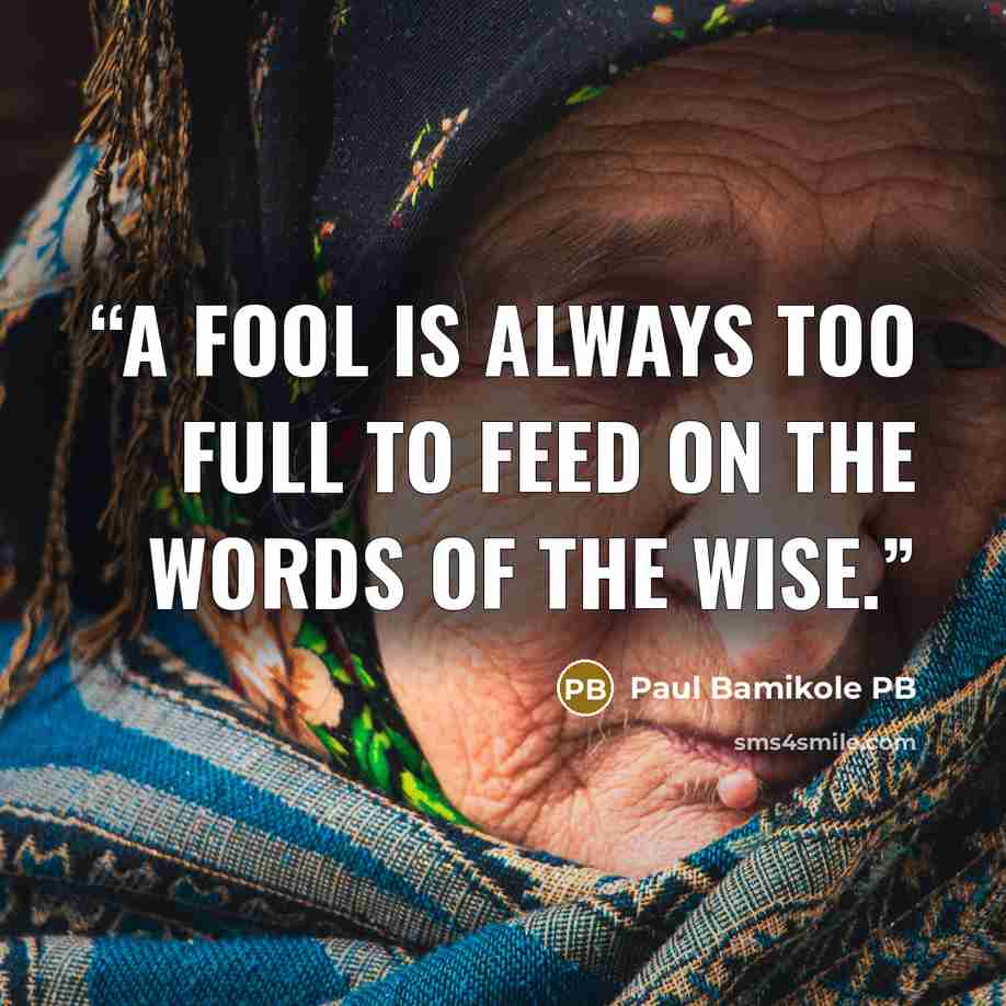 “A fool is always too full to feed on the words of the wise.” quote by Paul Bamikole PB