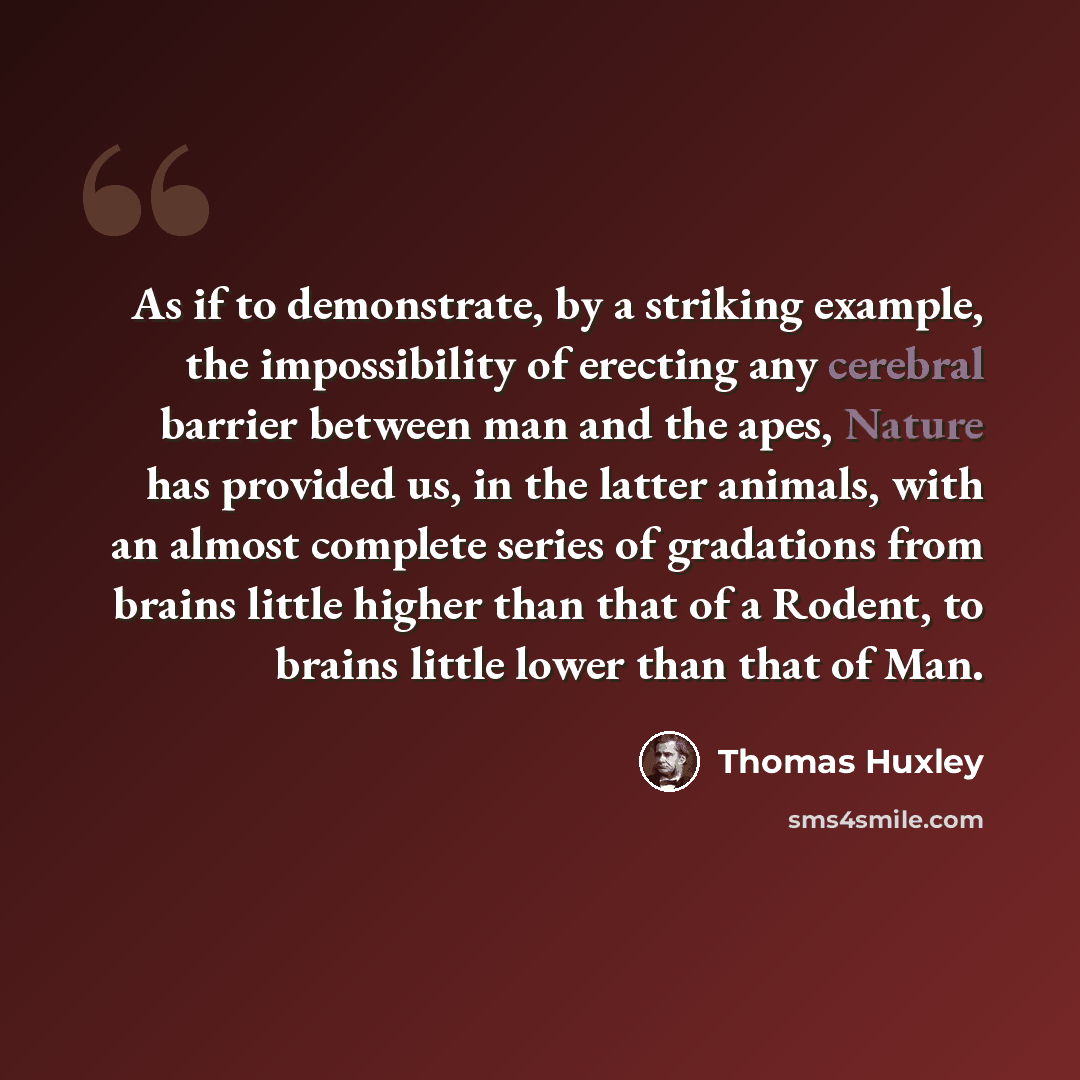 “As if to demonstrate, by a striking example, the impossibility of erecting any cerebral barrier between man and the apes, Nature has provided us, in the latter animals, with an almost complete series of gradations from brains little higher than that of a Rodent, to brains little lower than that of…” quote by Thomas Huxley