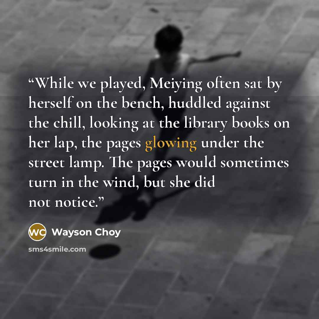“While we played, Meiying often sat by herself on the bench, huddled against the chill, looking at the library books on her lap, the pages glowing under the street lamp. The pages would sometimes turn in the wind, but she did not notice.” quote by Wayson Choy
