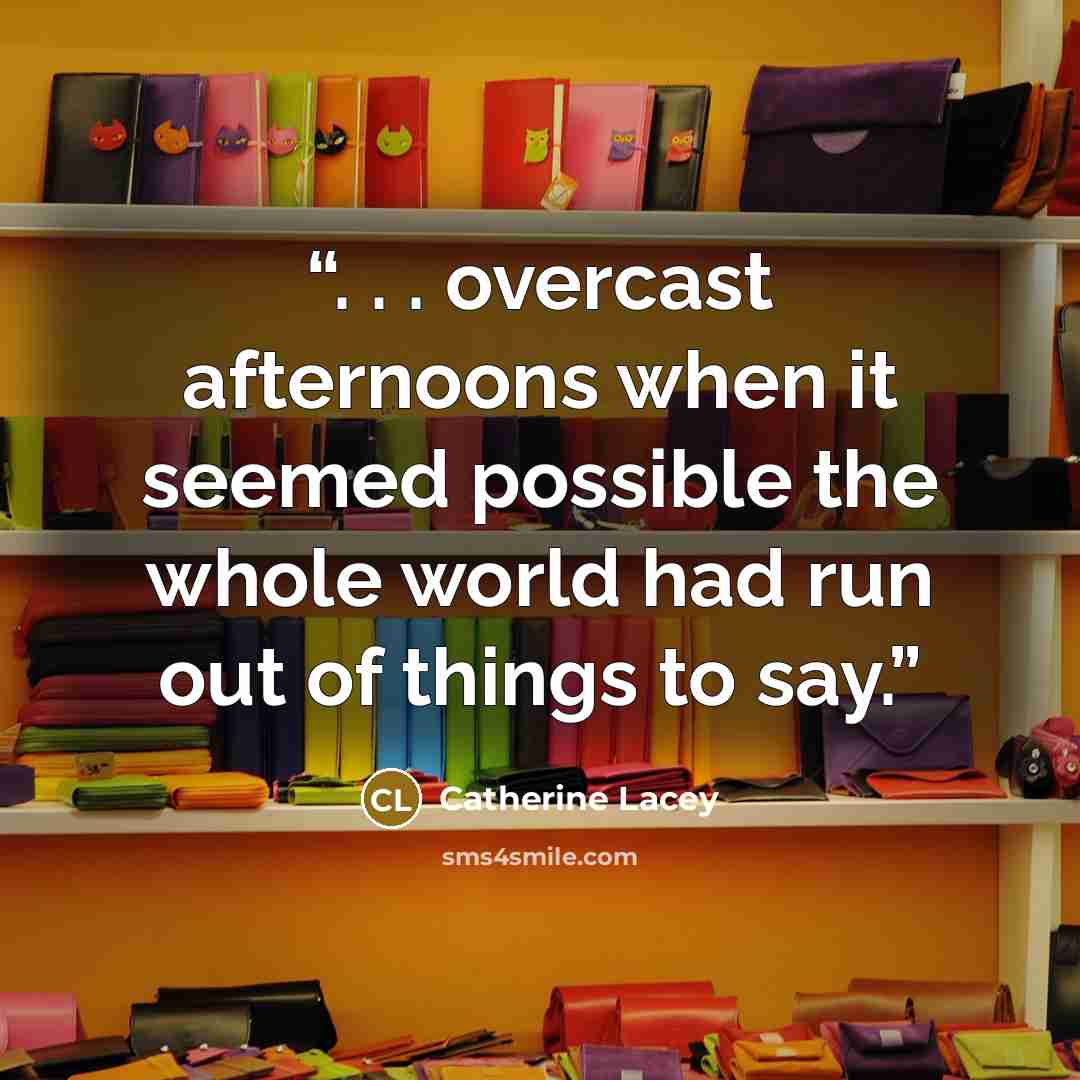 “. . . overcast afternoons when it seemed possible the whole world had run out of things to say.” quote by Catherine Lacey