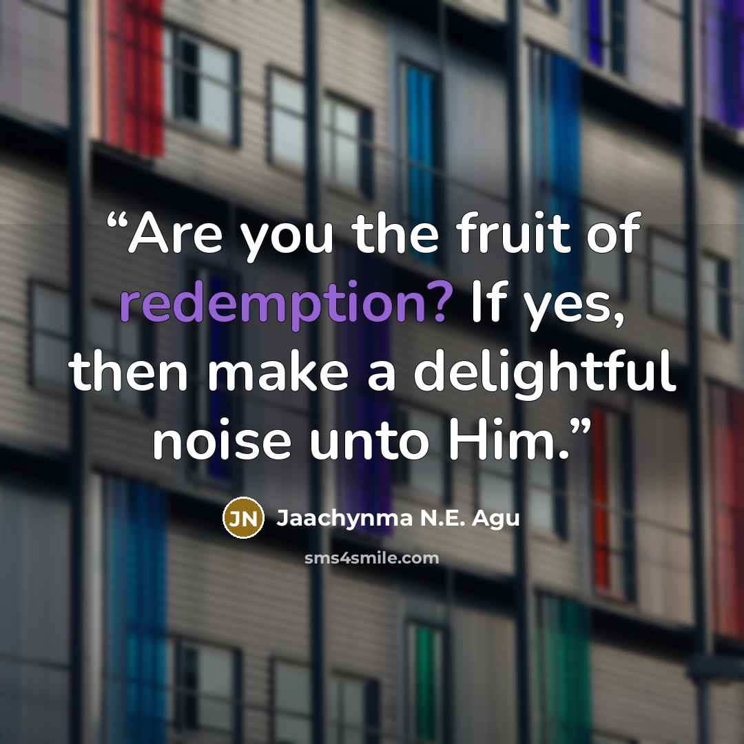 “Are you the fruit of redemption? If yes, then make a delightful noise unto Him.” quote by Jaachynma N.E. Agu