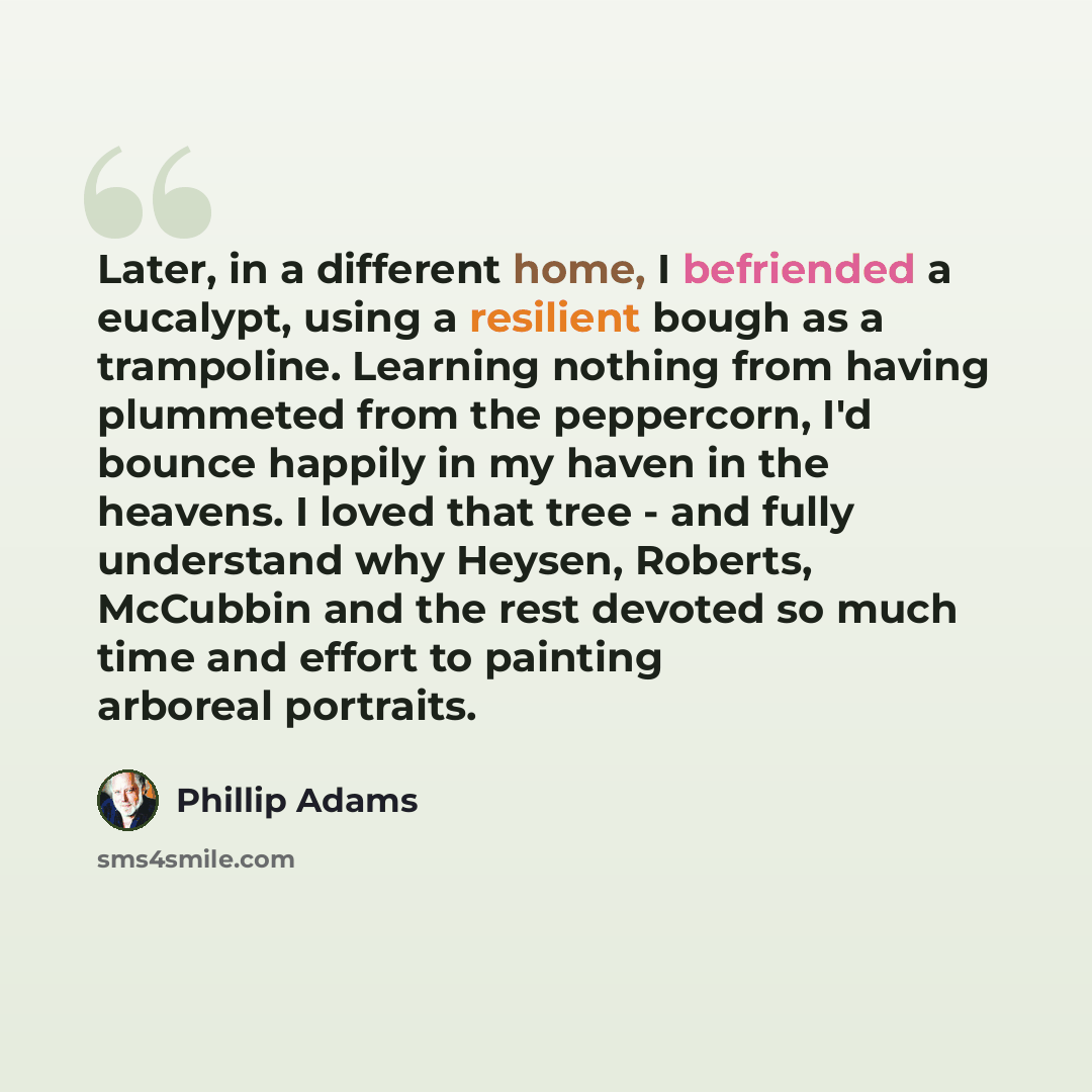 “Later, in a different home, I befriended a eucalypt, using a resilient bough as a trampoline. Learning nothing from having plummeted from the peppercorn, I'd bounce happily in my haven in the heavens. I loved that tree - and fully understand why Heysen, Roberts, McCubbin and the rest devoted so…” quote by Phillip Adams