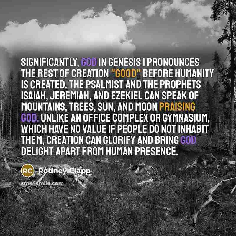 “Significantly, God in Genesis 1 pronounces the rest of creation "good" before humanity is created. The psalmist and the prophets Isaiah, Jeremiah, and Ezekiel can speak of mountains, trees, sun, and moon praising God. Unlike an office complex or gymnasium, which have no value if people do not…” quote by Rodney Clapp