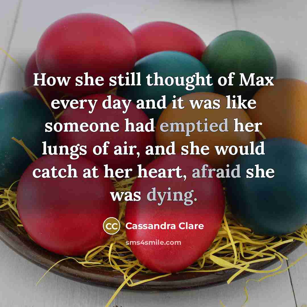 “How she still thought of Max every day and it was like someone had emptied her lungs of air, and she would catch at her heart, afraid she was dying.” quote by Cassandra Clare