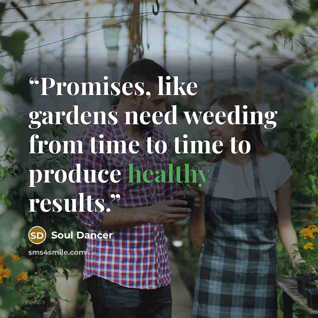 “Promises, like gardens need weeding from time to time to produce healthy results.” quote by Soul Dancer