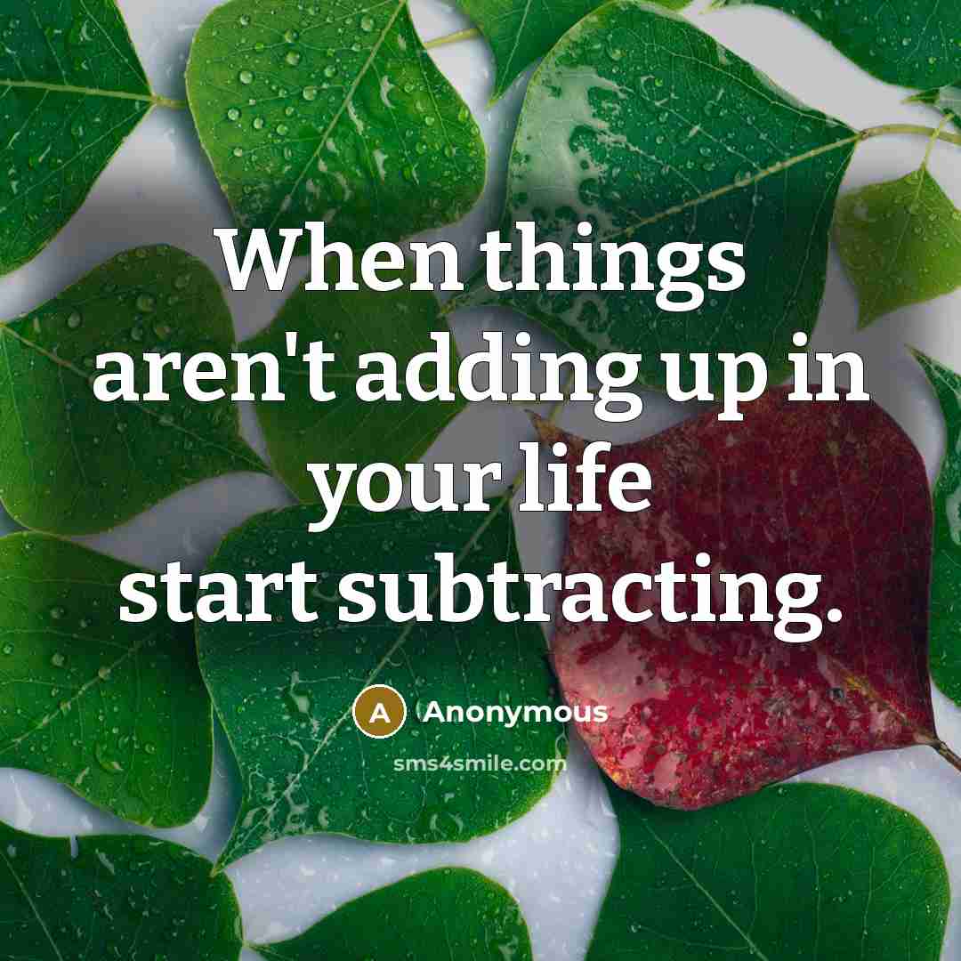 “When things aren't adding up in your life start subtracting.” quote by Anonymous
