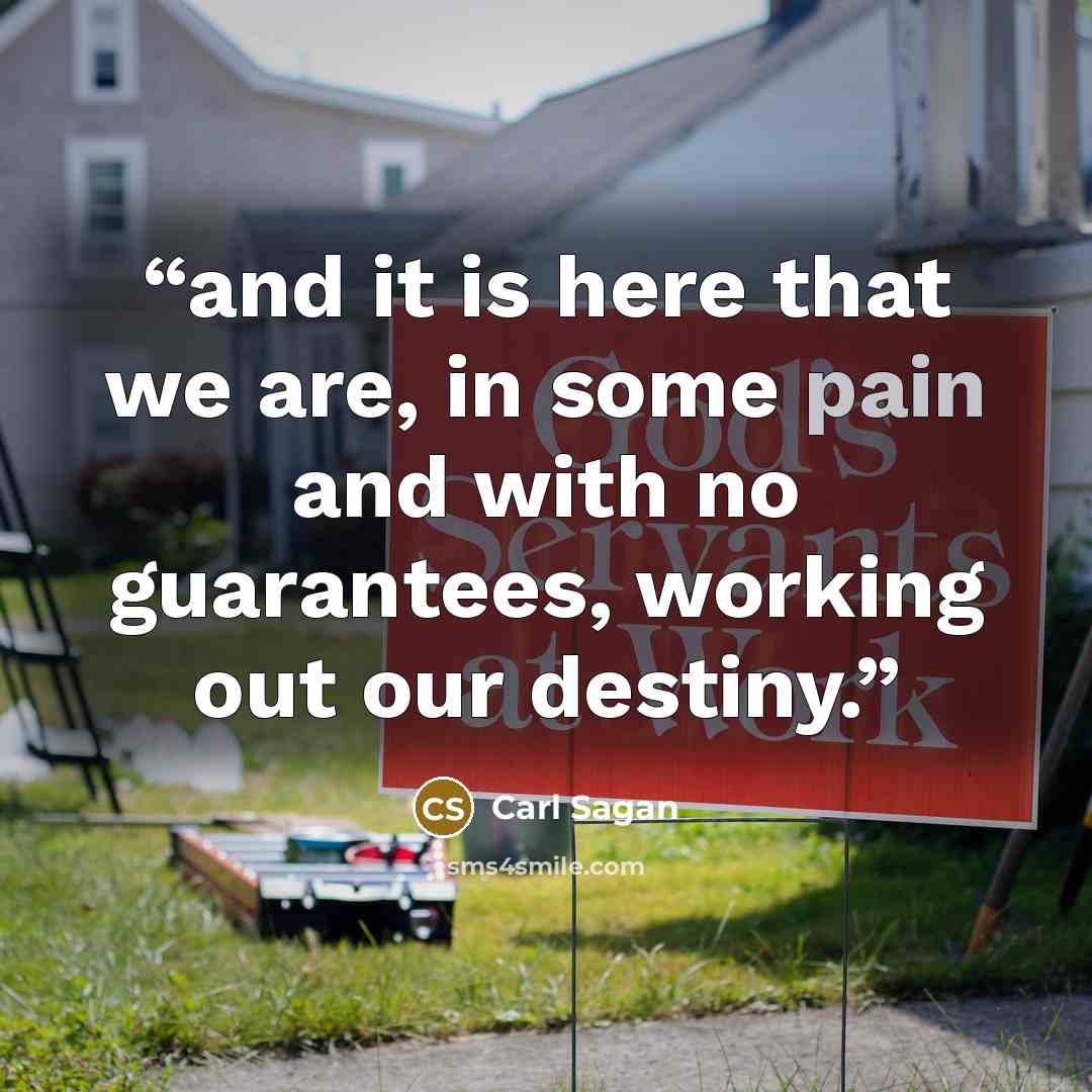 “and it is here that we are, in some pain and with no guarantees, working out our destiny.” quote by Carl Sagan