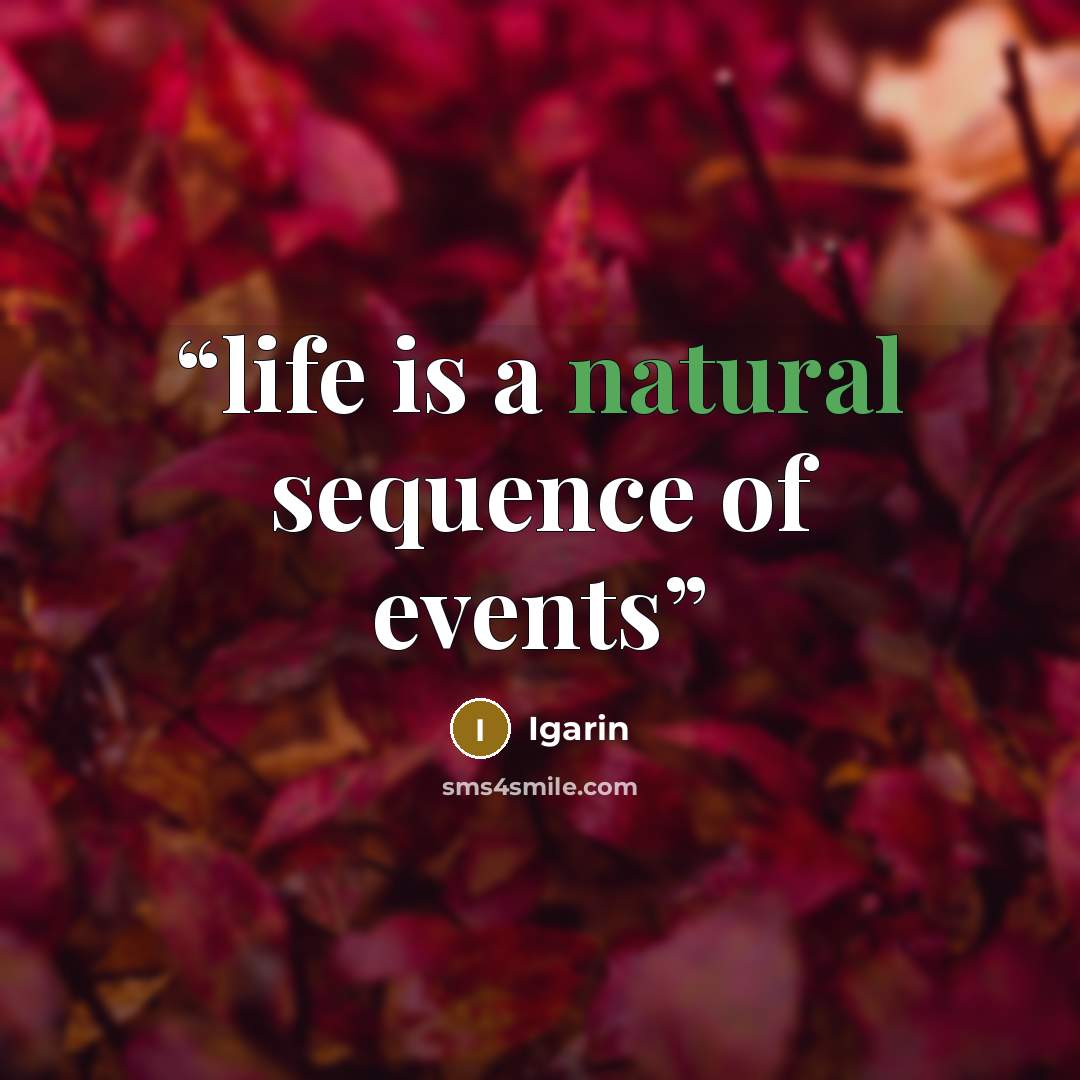 “life is a natural sequence of events” quote by Igarin