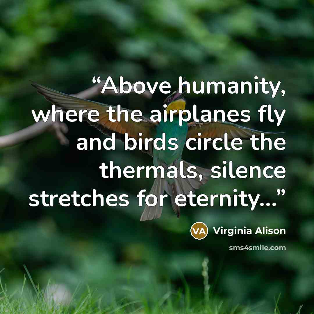 “Above humanity, where the airplanes fly and birds circle the thermals, silence stretches for eternity…” quote by Virginia Alison