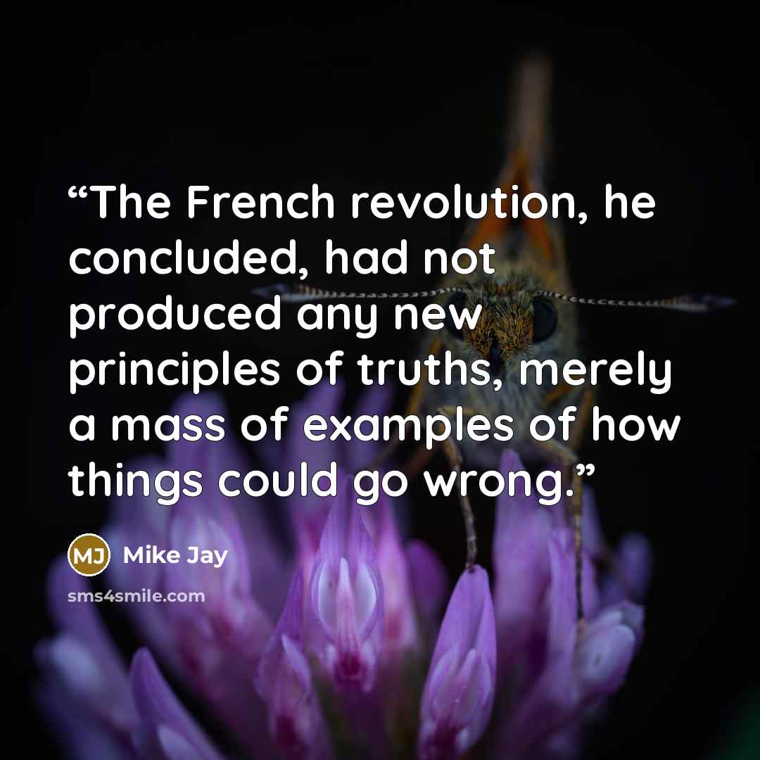 “The French revolution, he concluded, had not produced any new principles of truths, merely a mass of examples of how things could go wrong.” quote by Mike Jay