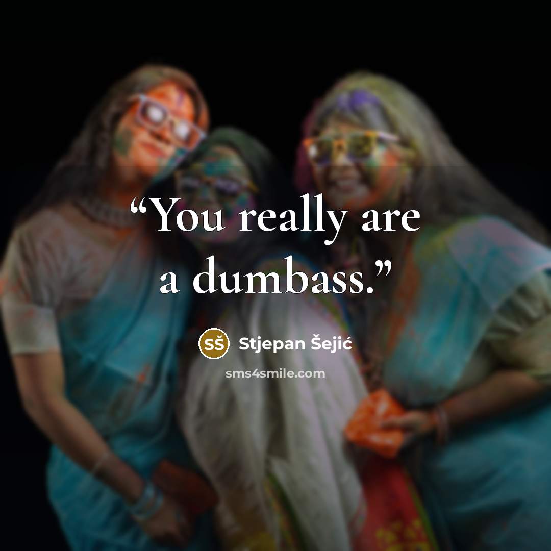 “You really are a dumbass.” quote by Stjepan Šejić