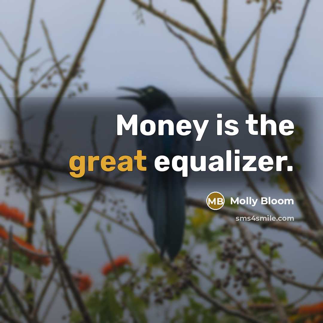 “Money is the great equalizer.” quote by Molly Bloom