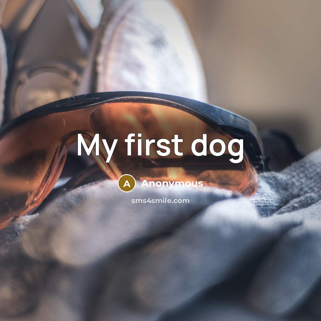 “My first dog” quote by Anonymous
