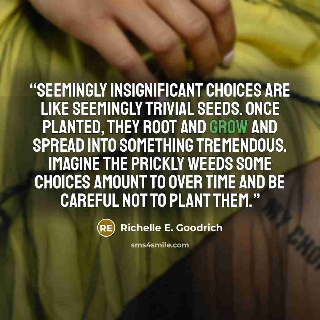 “Seemingly insignificant choices are like seemingly trivial seeds. Once planted, they root and grow and spread into something tremendous. Imagine the prickly weeds some choices amount to over time and be careful not to plant them.” quote by Richelle E. Goodrich