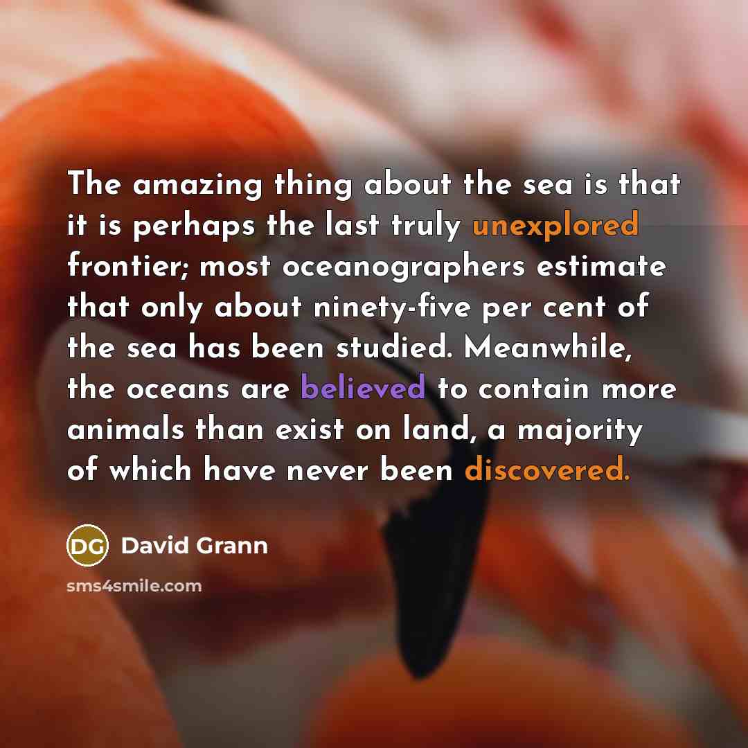 “The amazing thing about the sea is that it is perhaps the last truly unexplored frontier; most oceanographers estimate that only about ninety-five per cent of the sea has been studied. Meanwhile, the oceans are believed to contain more animals than exist on land, a majority of which have never…” quote by David Grann