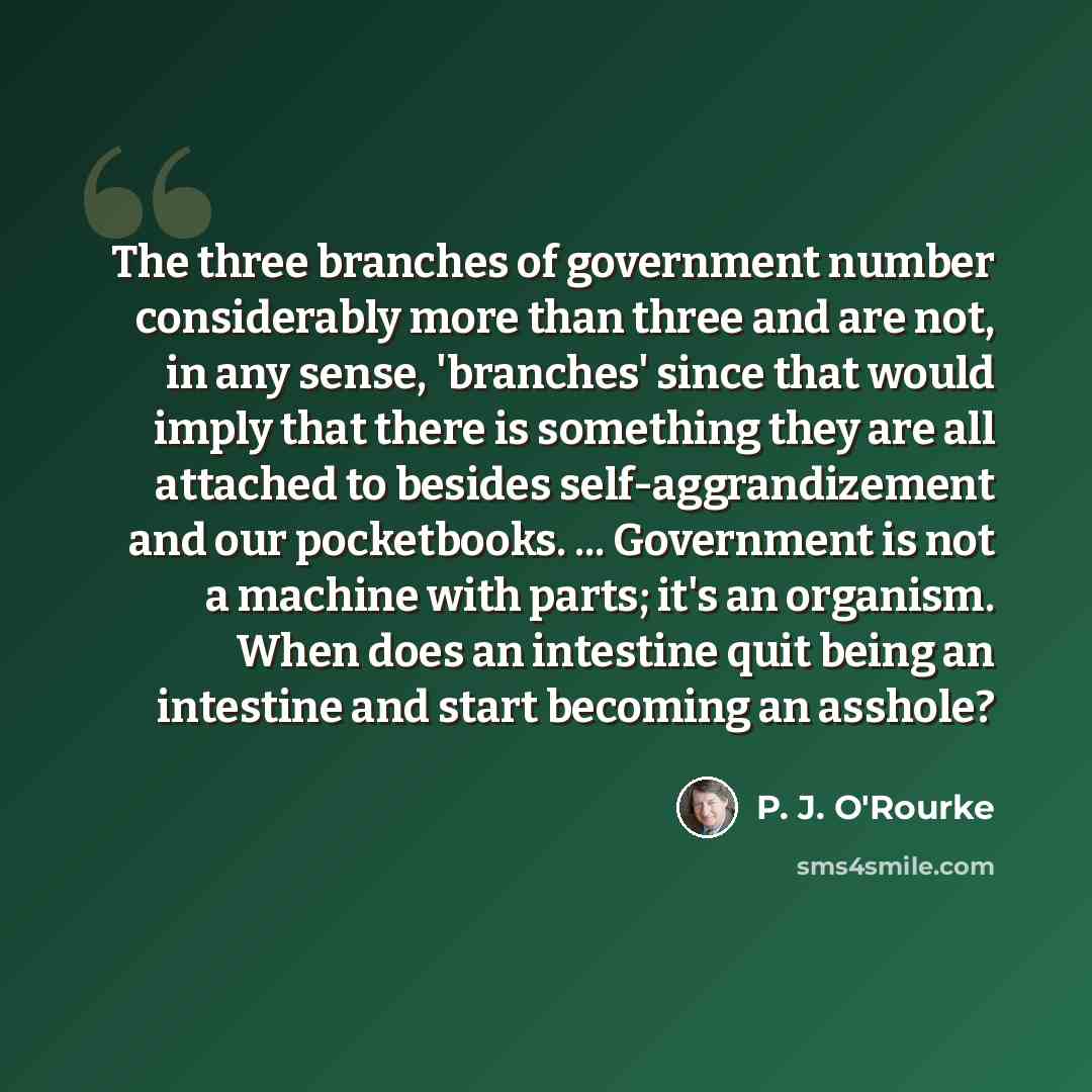 “The three branches of government number considerably more than three and are not, in any sense, 'branches' since that would imply that there is something they are all attached to besides self-aggrandizement and our pocketbooks. ... Government is not a machine with parts; it's an organism. When…” quote by P. J. O'Rourke
