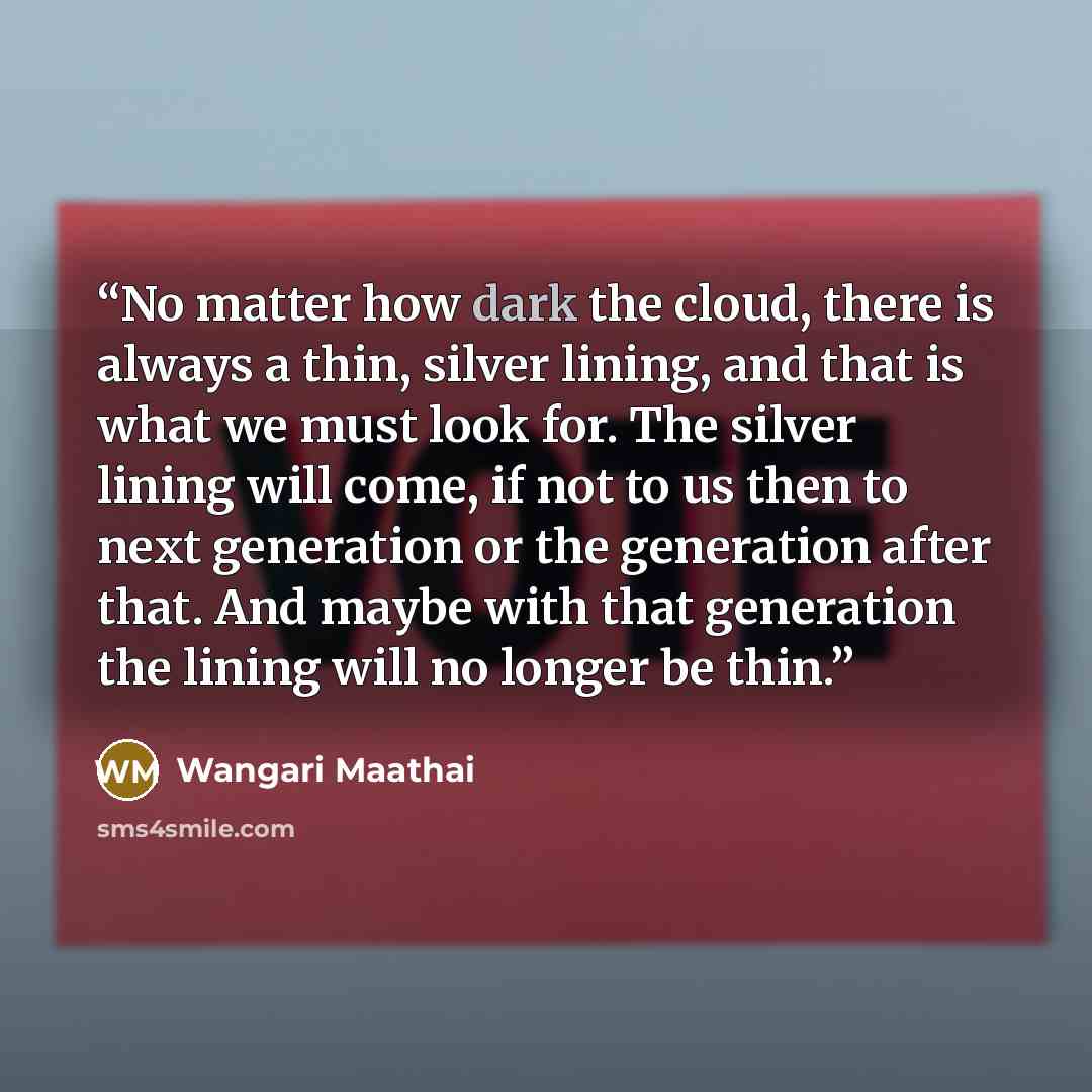 “No matter how dark the cloud, there is always a thin, silver lining, and that is what we must look for. The silver lining will come, if not to us then to next generation or the generation after that. And maybe with that generation the lining will no longer be thin.” quote by Wangari Maathai