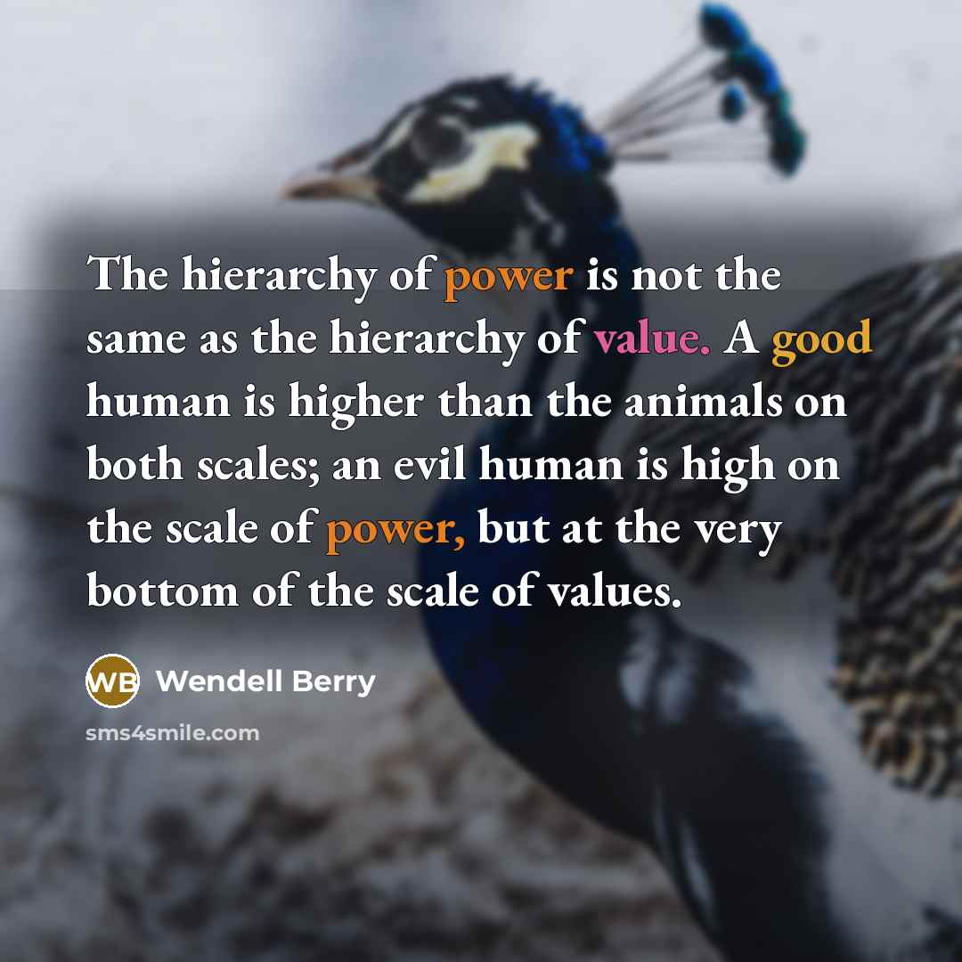 “The hierarchy of power is not the same as the hierarchy of value. A good human is higher than the animals on both scales; an evil human is high on the scale of power, but at the very bottom of the scale of values.” quote by Wendell Berry