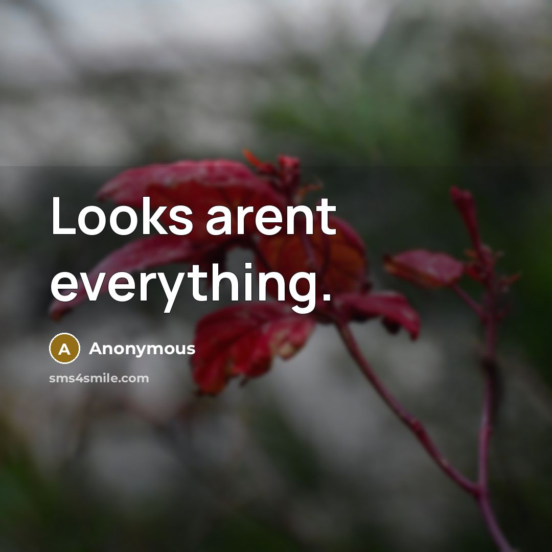 “Looks arent everything.” quote by Anonymous