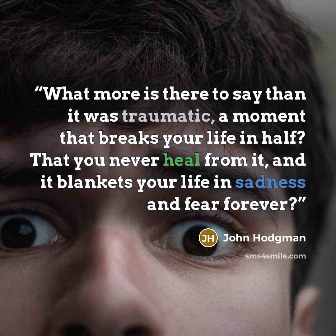“What more is there to say than it was traumatic, a moment that breaks your life in half? That you never heal from it, and it blankets your life in sadness and fear forever?” quote by John Hodgman