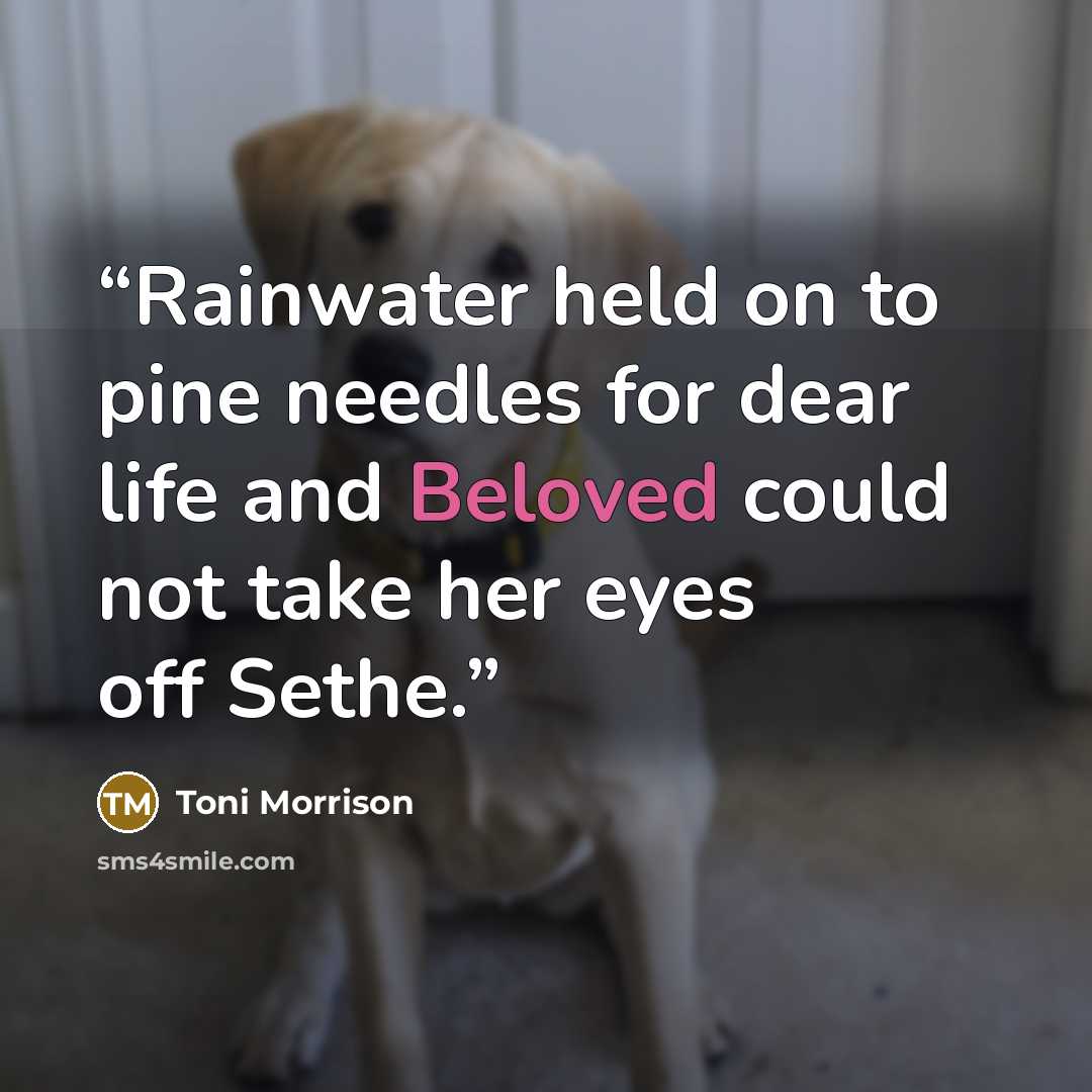 “Rainwater held on to pine needles for dear life and Beloved could not take her eyes off Sethe.” quote by Toni Morrison