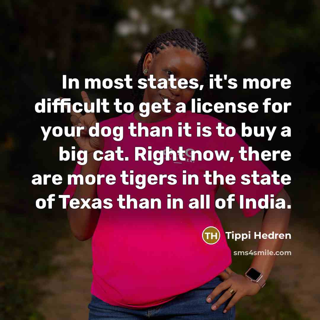 “In most states, it's more difficult to get a license for your dog than it is to buy a big cat. Right now, there are more tigers in the state of Texas than in all of India.” quote by Tippi Hedren