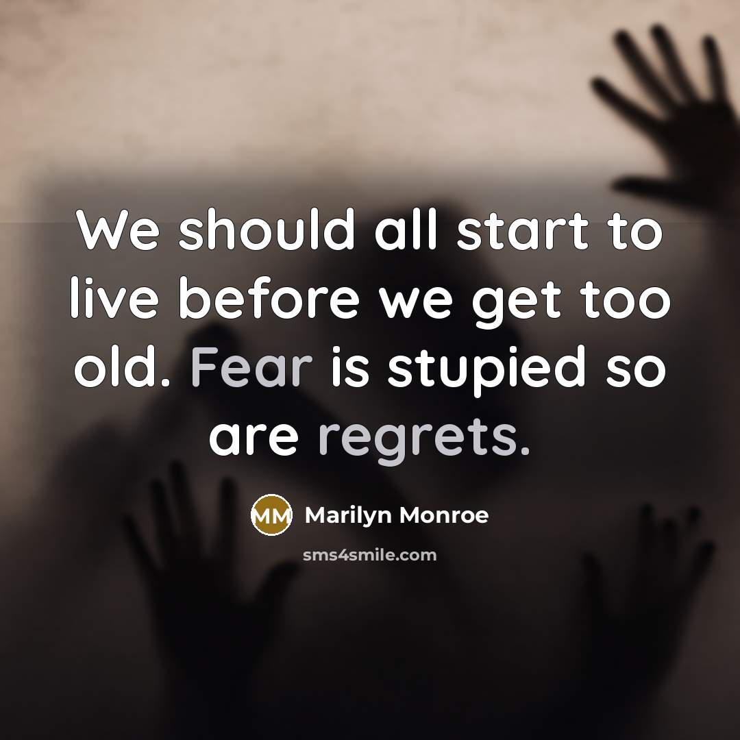 “We should all start to live before we get too old. Fear is stupied so are regrets.” quote by Marilyn Monroe