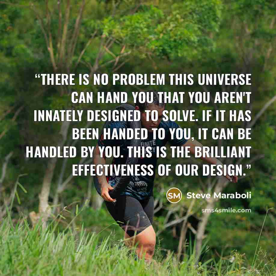 “There is no problem this universe can hand you that you aren't innately designed to solve. If it has been handed to you, it can be handled by you. This is the brilliant effectiveness of our design.” quote by Steve Maraboli