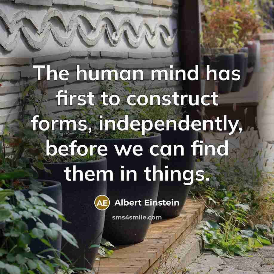 “The human mind has first to construct forms, independently, before we can find them in things.” quote by Albert Einstein